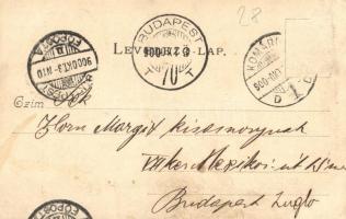 1900 Komárom, Komárno; Városháza, Klapka szobor. Kiadja Freisinger Mór / town hall, statue (EK)