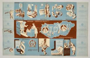 1953 Magyarország autóbuszhálózata, MÁVAUT vonalakkal, hátoldalon Országos Takarékpénztár reklámmal,...