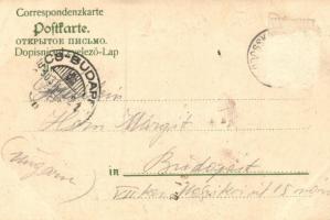 1903 Gross Kreutz, Groß Kreutz (Havel); Gasthof zum Schwarzen Adler v. W. Kruss, Saal, Luthereiche /...