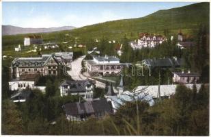 Tátra, Magas Tátra, Vysoké Tatry - 8 db régi városképes lap / 8 pre-1945 town-view postcards