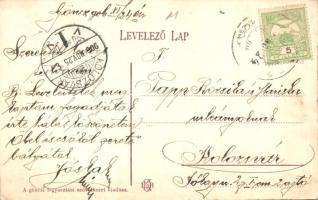 1906 Gönc, Károlyi Gáspár szobor, Fő utca, üzlet. Kiadja a gönci fogyasztási szövetkezet (EK)