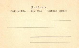 Art Nouveau lady. Philipp & Kramer Wiener Künstler-Postkarte Serie V/6. litho s: Leo Kainradl