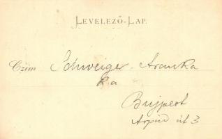 Art Nouveau lady. Stengel & Co. Ser. 10. Künstlerkarte 13. litho s: L. Cauvy