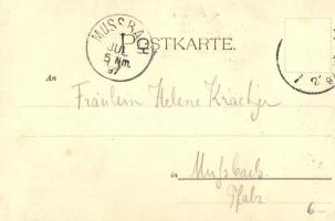 1897 (Vorläufer!) Glück und Gruss! Treff-Sicher. F.A. Ackermann Künstlerpostkarte No. 29. Art Nouvea...