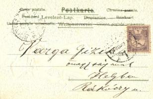 Lady with bicycle. Emb. litho s: Heyer