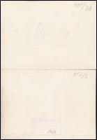 1965-1966 Bécs, Versenylovak, Piperkőc és Zara, 2 db feliratozott fotó, 12×18 cm