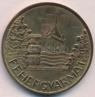 DN "Dr. Cseh Zoltán emlékverseny / Fehérgyarmat" fém emlékérem (45mm) T:2