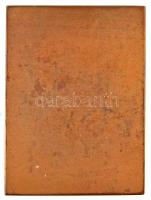 1915. "Hindenburg" Br emlékplakett. Szign.: F. Stiasny (48x65mm) T:2
1915. "Hindenbu...