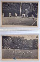 Kőszeg, Hunyadi Mátyás m. kir. reáliskolai nevelőintézet, részletek és belső nézetek / Hungarian boy...