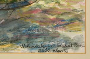 Vehovszkyné Szakál Rózsa (?-): Üllői úti klinika. Akvarell, papír, jelzett, üvegezett keretben, 39×3...