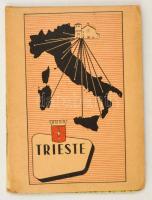 cca 1925 Trieszt várostérkép, utcanevekkel, szép állapotban, 87×68 / Trieste map