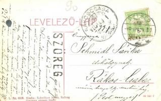 1910 Szőreg (Szeged), Szélmalom. W. L. Bp. 6028. Kiadja Schwitzer Jakab (fa)