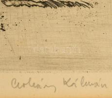 Csohány Kálmán (1925-1980): Kis liget. Rézkarc, papír, jelzett, üvegezett kerteben, 17×26 cm