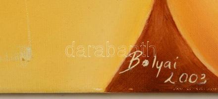 Bólyai Krisztina (?-): Modell. Olaj, vászon,  70×60 cm