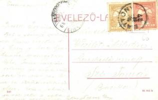 1909 Battonya, látkép. W.L. (?) 240