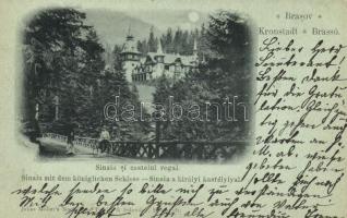 1900 Sinaia, Castelul Regal / castle