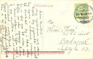 1914 Szilágysomlyó, Simleu Silvaniei; Bem tér, Szentháromság szobor, üzlet, templom. W.L. Bp. 7120. ...