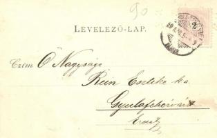 1899 Gyulafehérvár, Karlsburg, Alba Iulia; Fridzám György arcképe és Erzsébet szállodája / hotel wit...