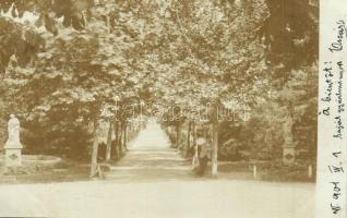 1901 Versec, Werschetz, Vrsac; Városligeti sétány szobrokkal / park promenade with statues. photo