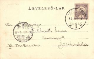 1901 Versec, Werschetz, Vrsac; Városligeti sétány szobrokkal / park promenade with statues. photo