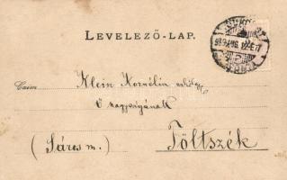1899 Töltszék, Tulcík; napszámosok kifizetése július 30-án / payment of the day laborers in July 30t...