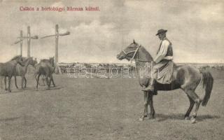 1910 Hortobágy, csikós a hármas kútnál. Divald Károly