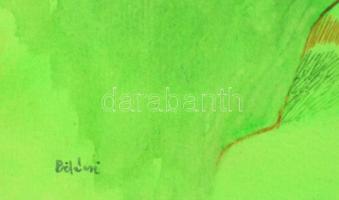 Bikácsi Daniela (1943- ): Férfi kutyával, akvarell, papír, jelzett, paszpartuban, üvegezett fa keret...