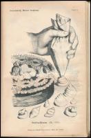 Louise Seleskowitz: Wiener Kochbuch. Wien-Leipzig, 1908, Wilhelm Braumüller, 6+1 t.(címkép)+1 (díszc...