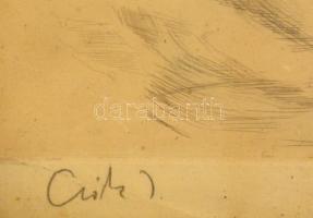 Csók István (1865-1961): Olvasó nő, színezett rézkarc, papír, jelzett, üvegezett fa keretben, 32,5×2...