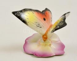 Porcelán pillangó, kézzel festett, jelzett, kis kopásokkal, m: 5 cm