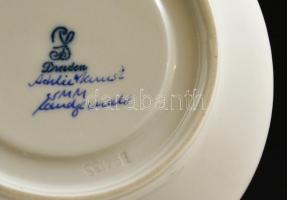 Drezdai porcelán csésze+alj, kézzel festett, jelzett, apró kopásokkal, d: 5 ill. 11,5 cm