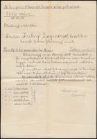 1915-1942 pallini Inkey Zsigmond m. kir. pécsi 8. honvéd huszárezred tagjának bronz katonai érdeméremre viselését adományozó okirata, Hazai Samu honvédelmi miniszter nyomtatott aláírásával, valamint a bronz érdemérem adományozásáról szóló értesítés (1915), valamint a Károly csapatkereszt viselésére jogosító igazolvány (1917), valamint a Délvidéki Emlékéremről szóló értesítés (1942)