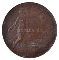 Beck Ö. Fülöp (1873-1945) 1896. "1896-iki Ezredéves Országos Kiállitás / Kiállítási Érem az Érd...
