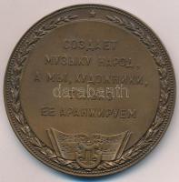 Szovjetunió 1957. "Mihail Ivanovics Glinka 1857-1957." Br emlékérem (67mm) T:2
Soviet Uni...