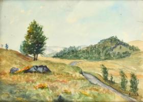 Balla jelzéssel: Dombos táj. Akvarell, papír, üvegezett keretben, 30×40 cm