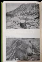 Mikó István: Vadászkönyv. Bukarest, 1984. Kriterion. Kiadói félvászon-kötés