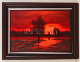 Stéhlik János (1942-): Holnap szél lesz. Olaj, farost, jelzett, keretben, 35×50 cm