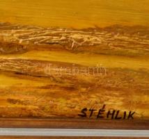 Stéhlik János (1942-): Csongrádi tanya. Olaj, farost, jelzett, keretben, 40×60 cm