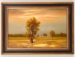 Stéhlik János (1942-): Csongrádi tanya. Olaj, farost, jelzett, keretben, 40×60 cm