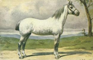 10 db RÉGI motívumos képeslap: ló, gyerek, művész, közte litho / 10 pre-1945 motive postcards: horse...