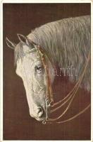 10 db RÉGI motívumos képeslap: ló, gyerek, művész, közte litho / 10 pre-1945 motive postcards: horse...