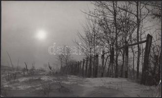 cca 1958 Dezső Pál (?-?) kecskeméti fotóművész hagyatékából 3 db feliratozott vintage fotóművészeti ...
