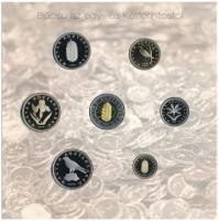 2008. 1Ft-100Ft (7xklf) "Búcsú az egy- és kétforintostól" forgalmi sor dísztokos szettben ...