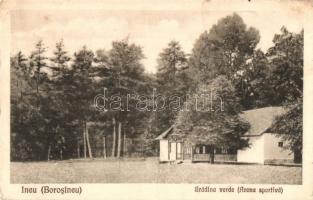 Borosjenő, Ineu; Zöld kert, sport telep / Gradina verde, Arena sportiva / Green garden, sport field  (EK)