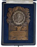 ~1930-1940. "Weber Lajosnak hálás emlékezéssel a F.M.S.E." Br emlékérem eredeti, kissé sér...