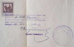 1920 Budapesti Kir. M. Tudományegyetem államtudományi doktori oklevelének másolata, 5 kr. okmánybély...