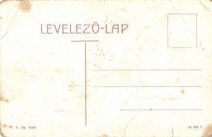 Beregszász, Berehove; Kossuth Lajos tér, gyógyszertár, Bereg megyei részvénytársaság,  varrógép rakt...