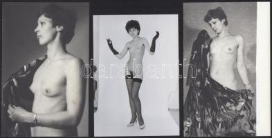 cca 1981 Látogatóban a nagyinál, szolidan erotikus felvételek, 4 db vintage negatív, + 7 db vintage ...