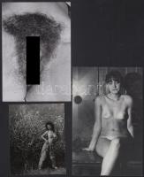 cca 1973 Az otthon melege, szolidan erotikus felvételek, 7 db vintage negatív, + 6 db vintage fotó é...