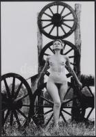 cca 1989 Fátyoltánc, szolidan erotikus felvételek, 4 db vintage negatív, + 8 db vintage fotó és/vagy mai nagyítás más régi negatívokról, a pozitív és negatív képek között nincs összefüggés, 6x6 cm és 25x18 cm között